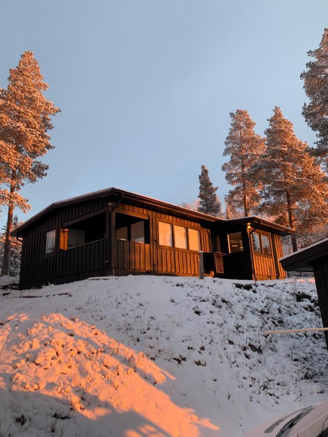 1125 Fjaellstugan Lofsdalen Eksteriør billede